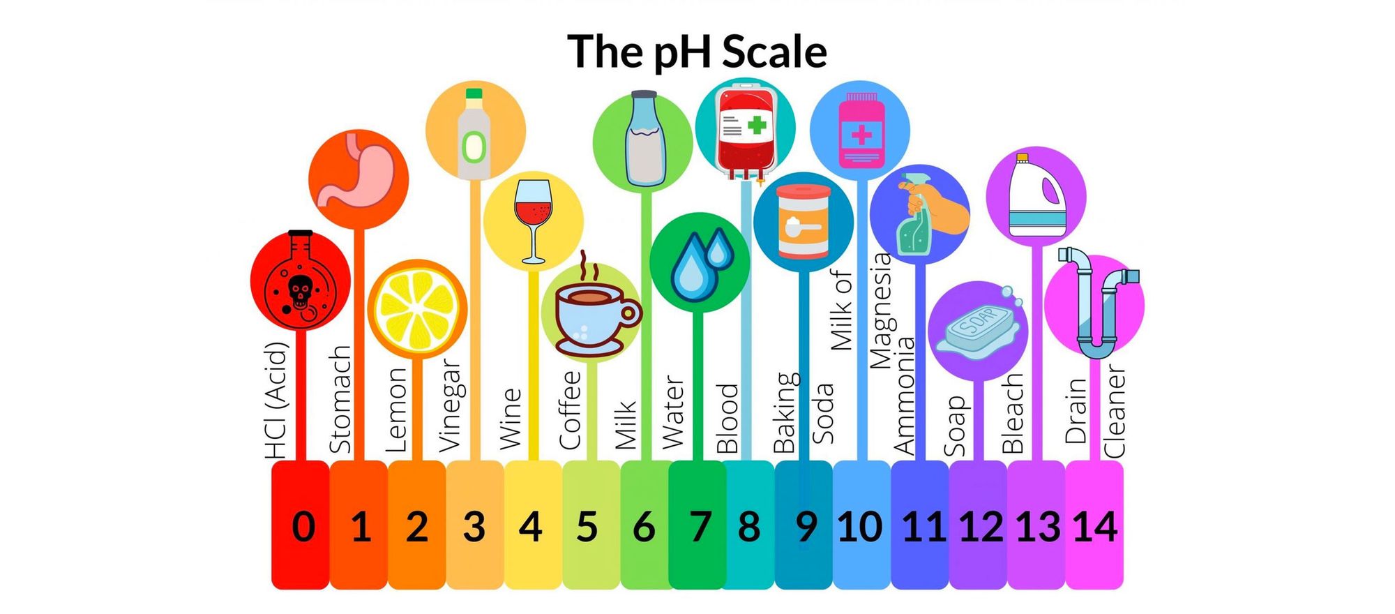 Coffee Acidity