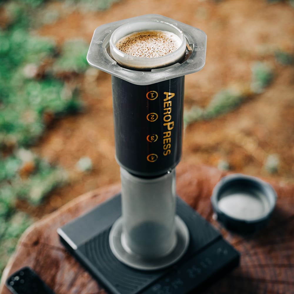 Exploring the Art and Science of Coffee Brewing Methods