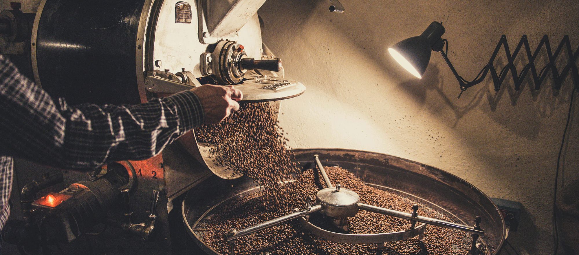 The Coffee Bean Journey: From Plant to Cup