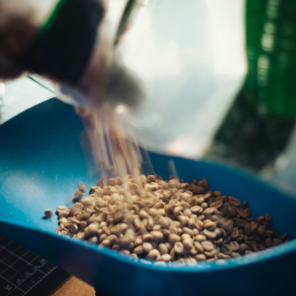 A Day in the Life of a Coffee Roaster: Crafting the Perfect Bean