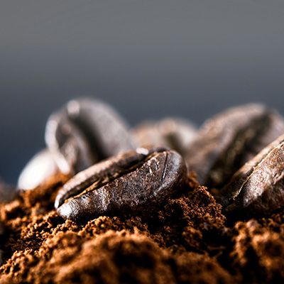 The Coffee Bean Journey: From Plant to Cup